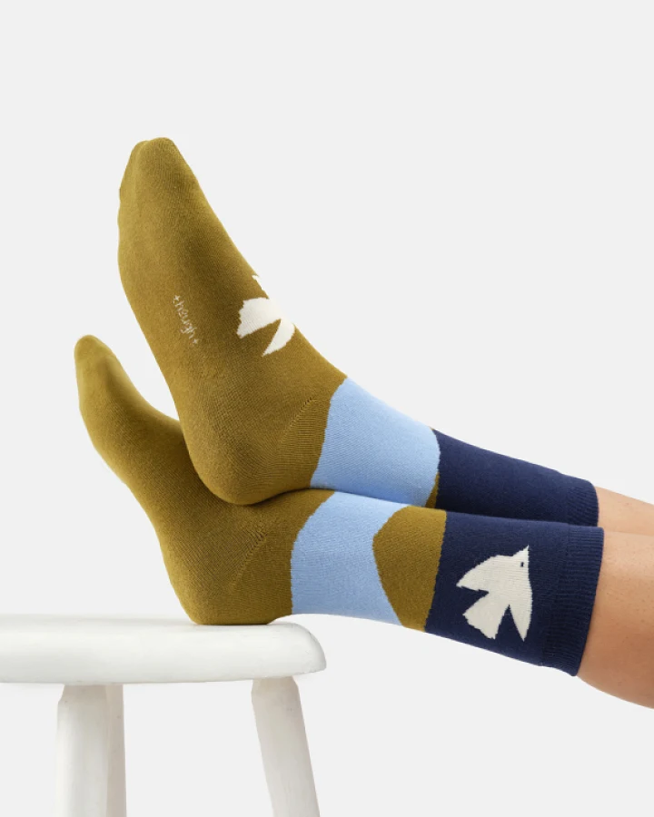 Socken Modell: Soaring Birds