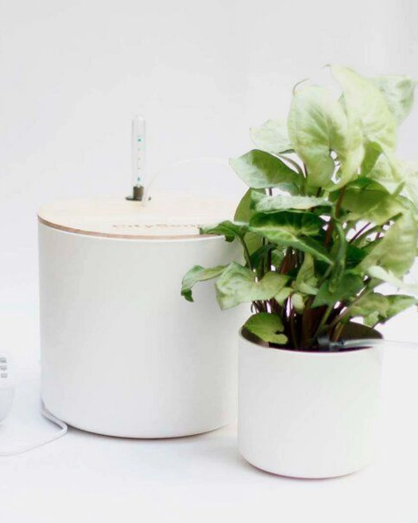 CitySens Automatische Tropfbewässerung mit Wasserspeicher – Ansicht 3