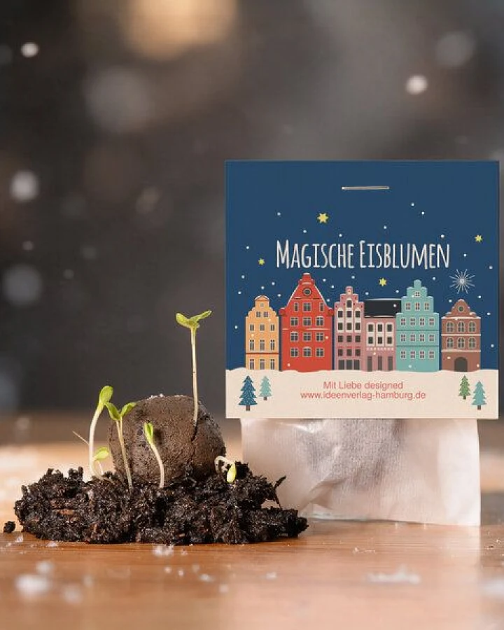 Ideenverlag Hamburg 10 Weihnachts-Samenbomben (Winter Edition) – Adventskalender-Füllung, Wichtelgeschenk & Mitarbeitergeschek