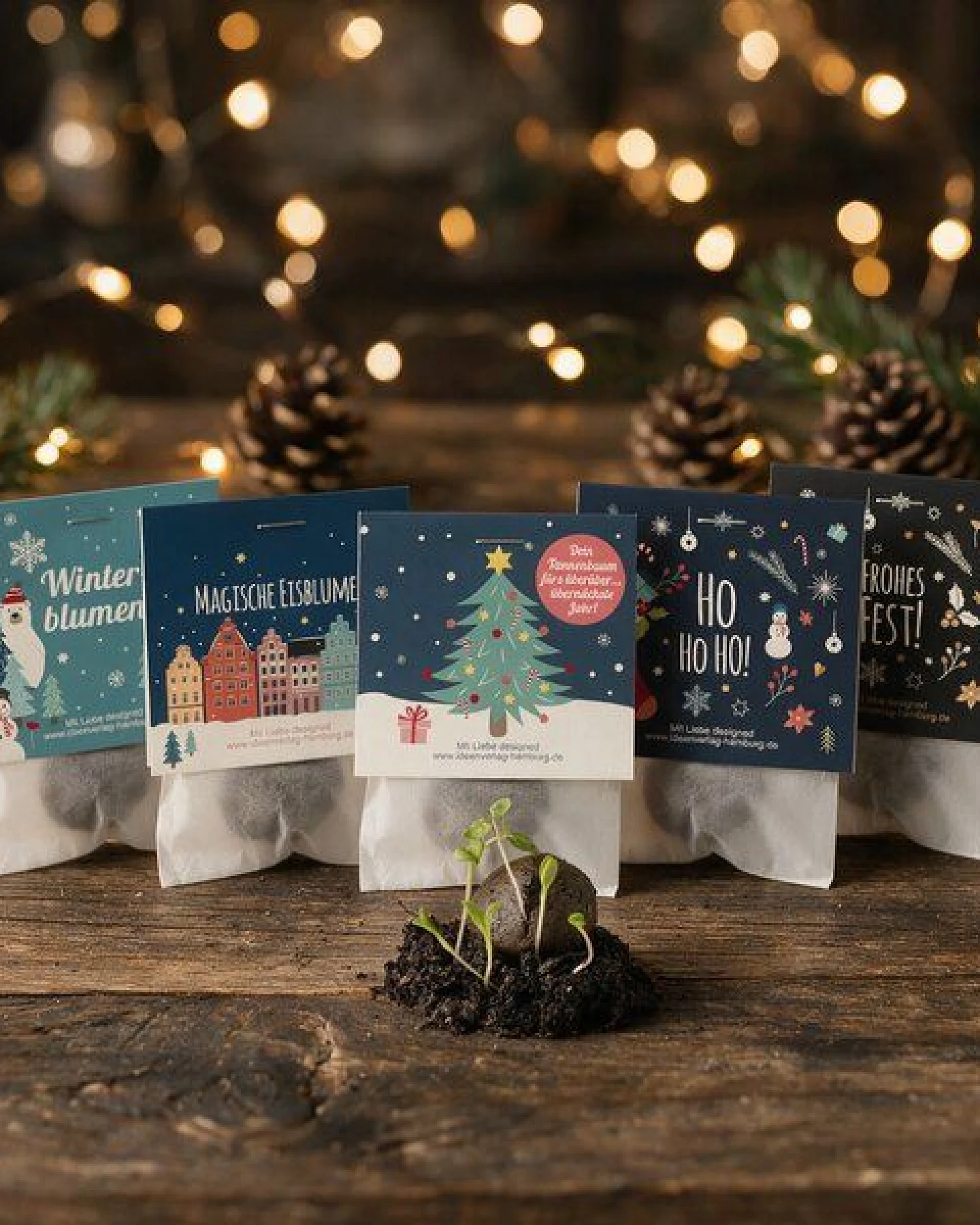 Ideenverlag Hamburg 10 Weihnachts-Samenbomben (Winter Edition) – Adventskalender-Füllung, Wichtelgeschenk & Mitarbeitergeschek – Ansicht 2
