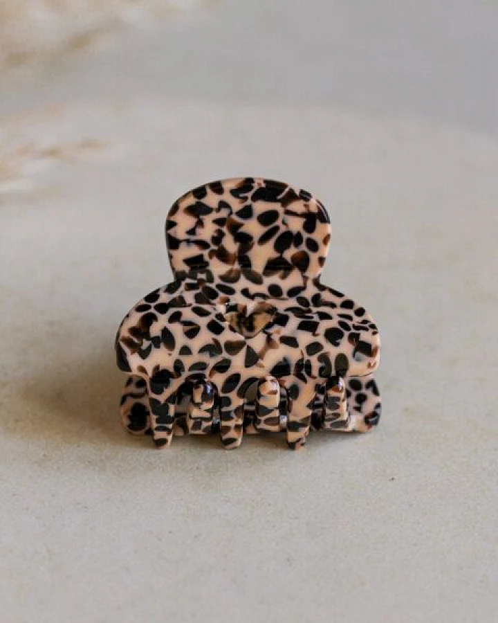 Gepard