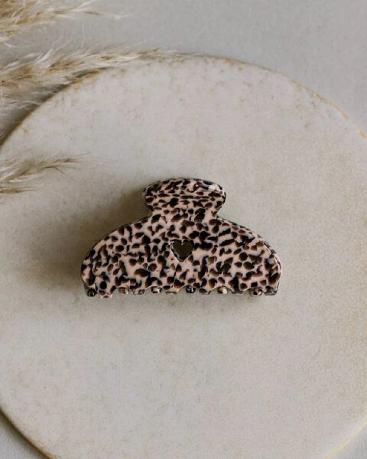Gepard