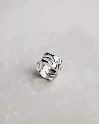 Silber