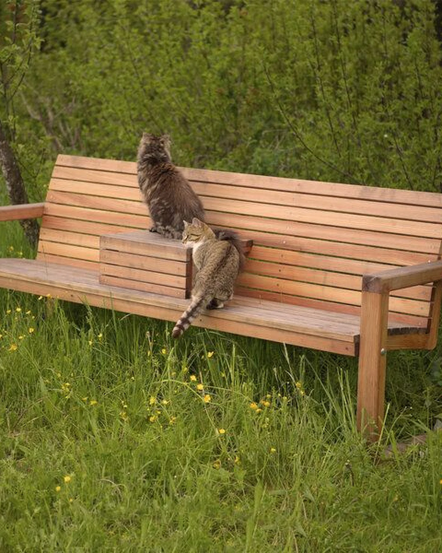 4betterdays Gartenbank 'Rest Time' – Ansicht 4
