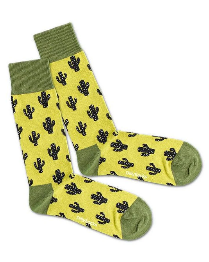 DillySocks Socken Garden Cactus aus Biobaumwoll-Mix