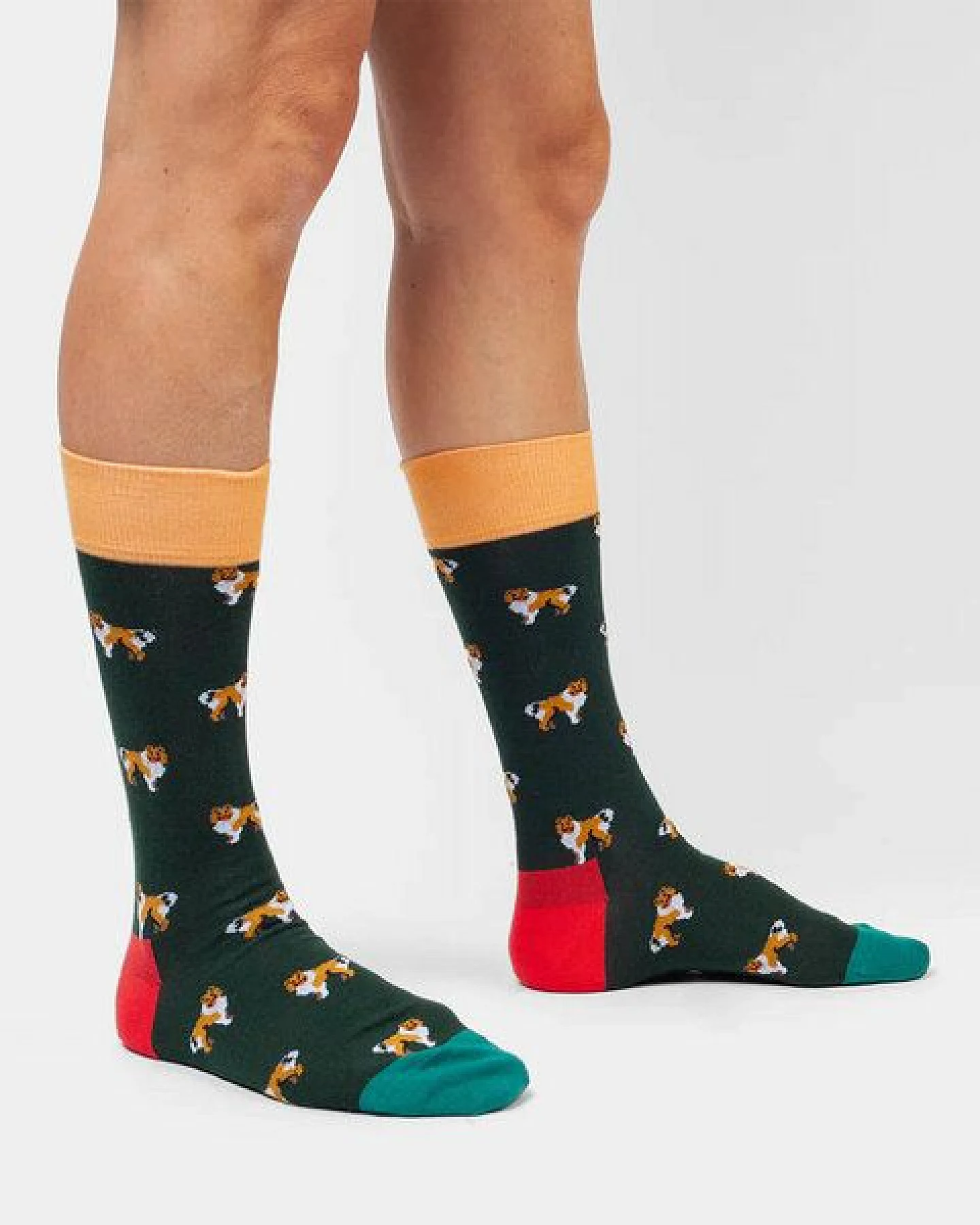 DillySocks Socken Who Let The Dogs Out aus Biobaumwoll-Mix – Ansicht 2