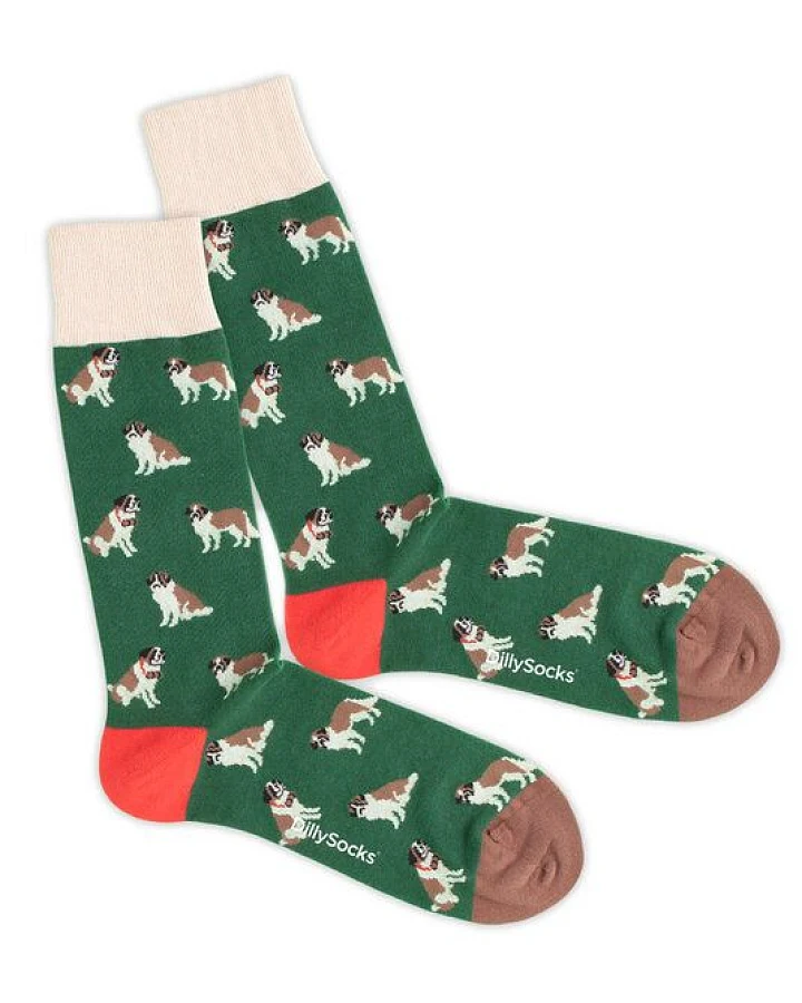 DillySocks Socken Goose Barry aus Biobaumwoll-Mix