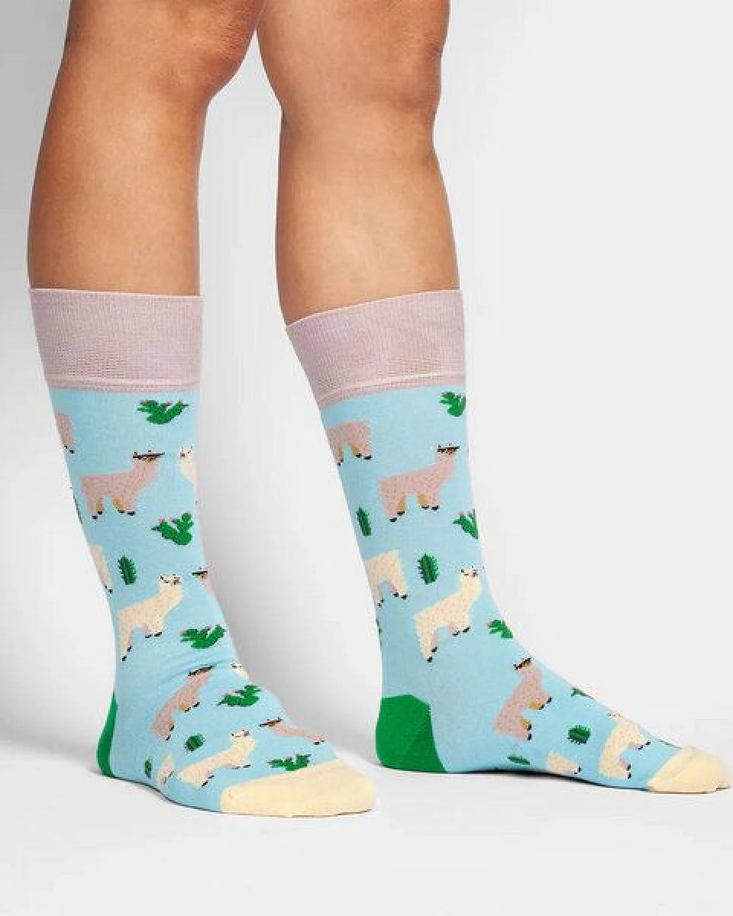 DillySocks Socken Alpaca Gang aus Biobaumwoll-Mix – Ansicht 3