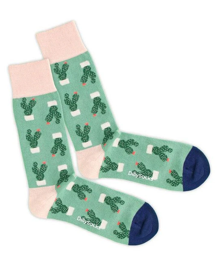DillySocks Socken Succulent aus Biobaumwoll-Mix