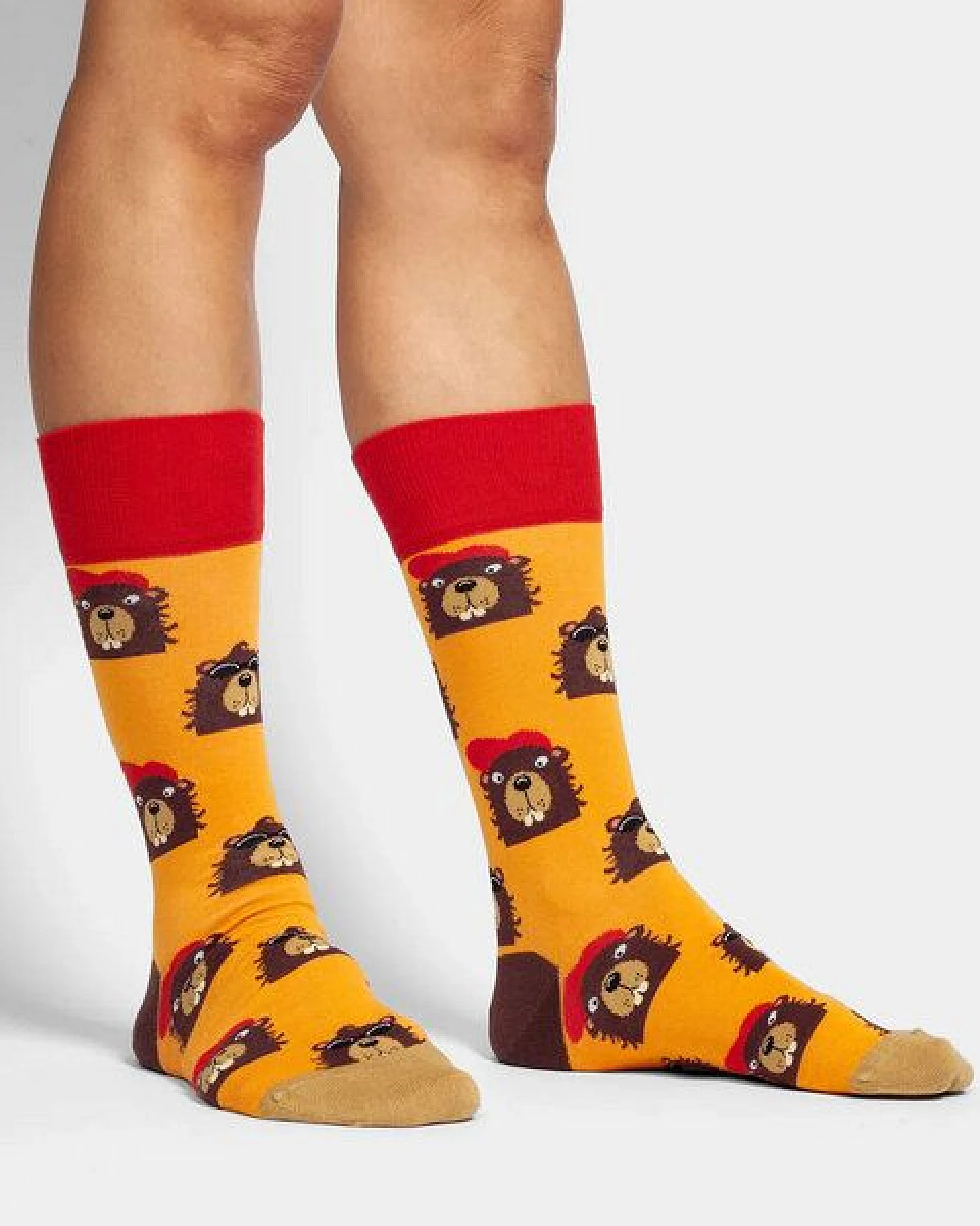 DillySocks Socken Bievers in the Hood aus Biobaumwoll-Mix – Ansicht 3
