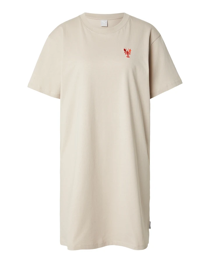 Iriedaily Kleid FC Hummer