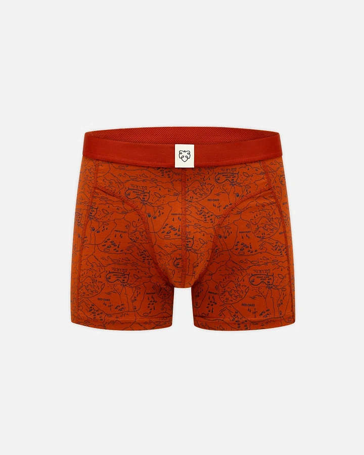 Boxer Brief Ginger Scoutmap Rot