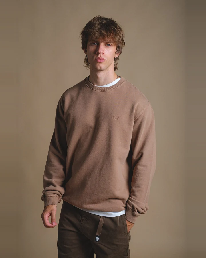 Trendsplant Herren vegan Pullover Heavyweight Essential Caribou Brown