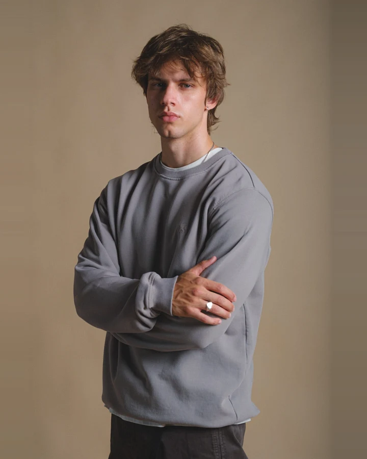 Trendsplant Herren vegan Pullover Heavyweight Essential Gray