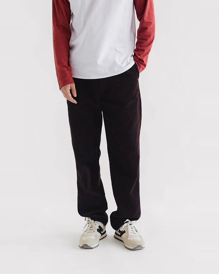 TWOTHIRDS Herren vegan Hose Apolima Schokoladenbraun