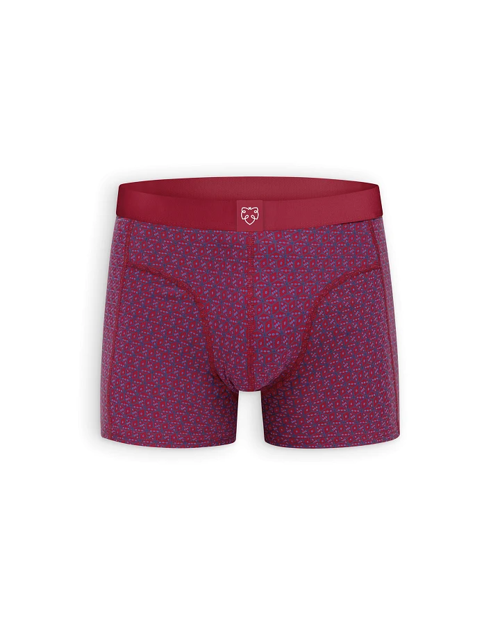 Boxer Brief Dice Rot