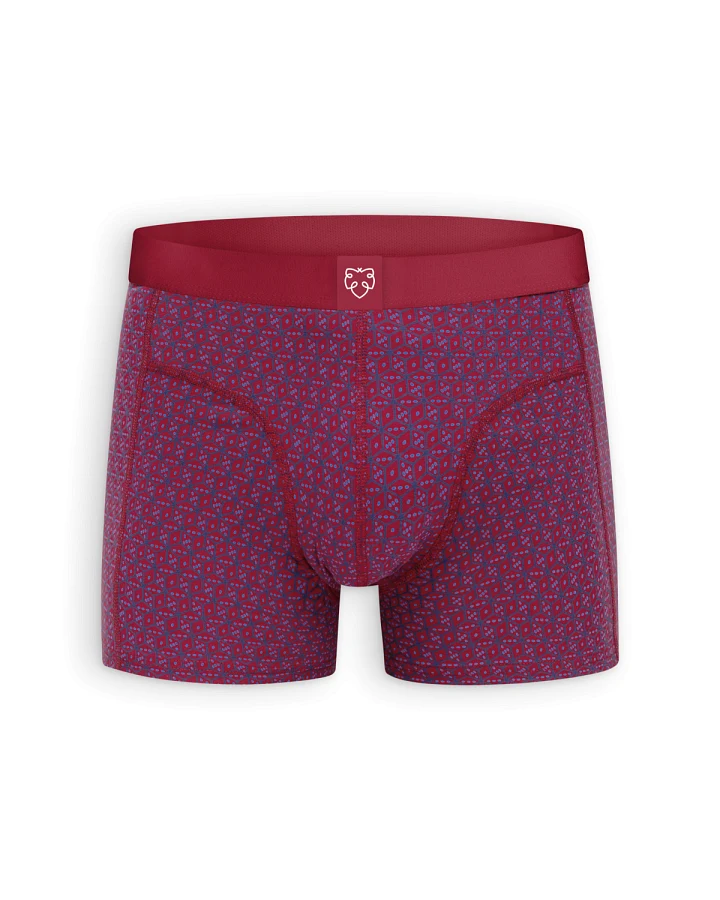 Boxer Brief Dice Rot
