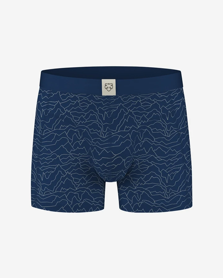 Boxer Brief Mountains Blau