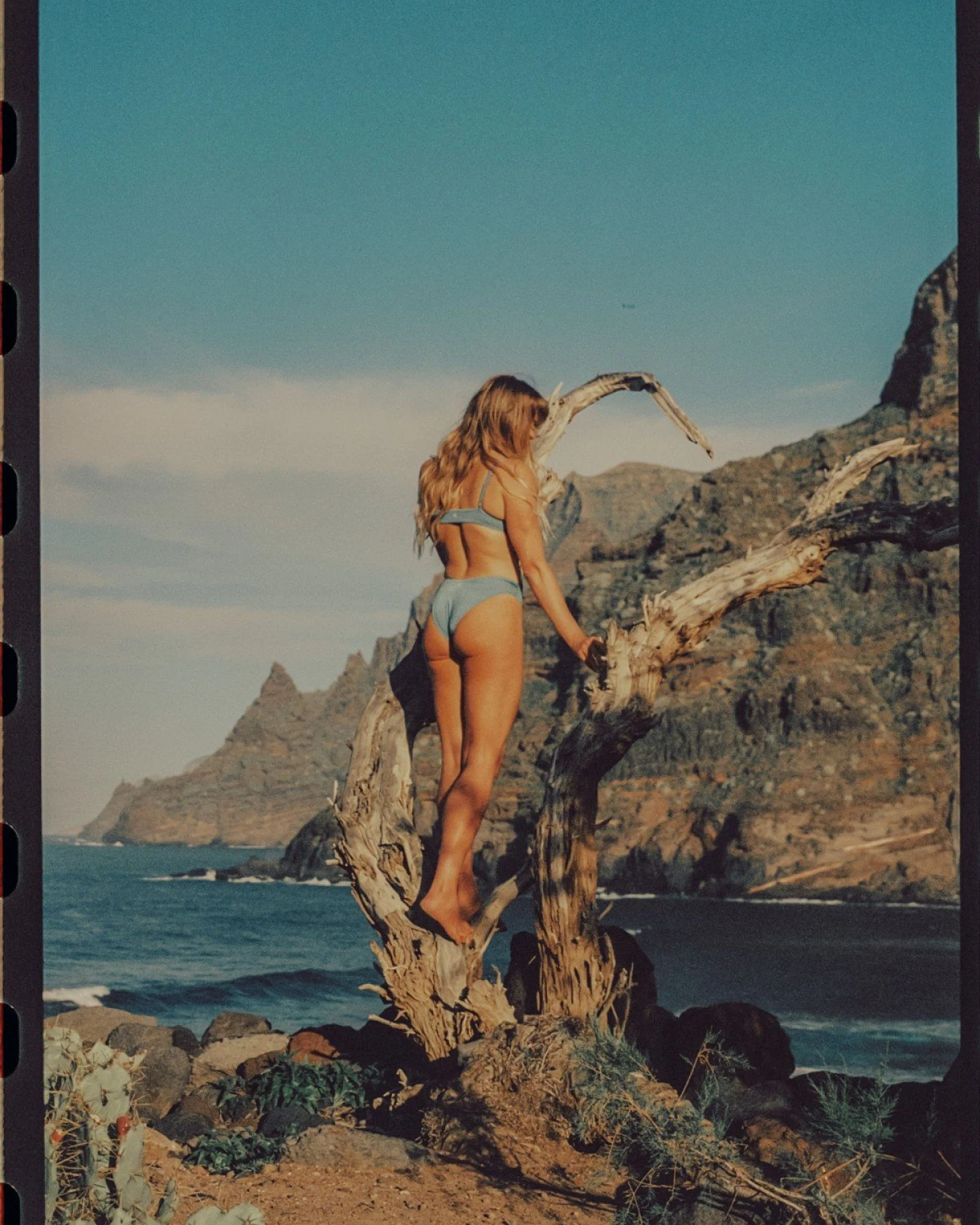 Bikini Bottom Calima Blau – Ansicht 4