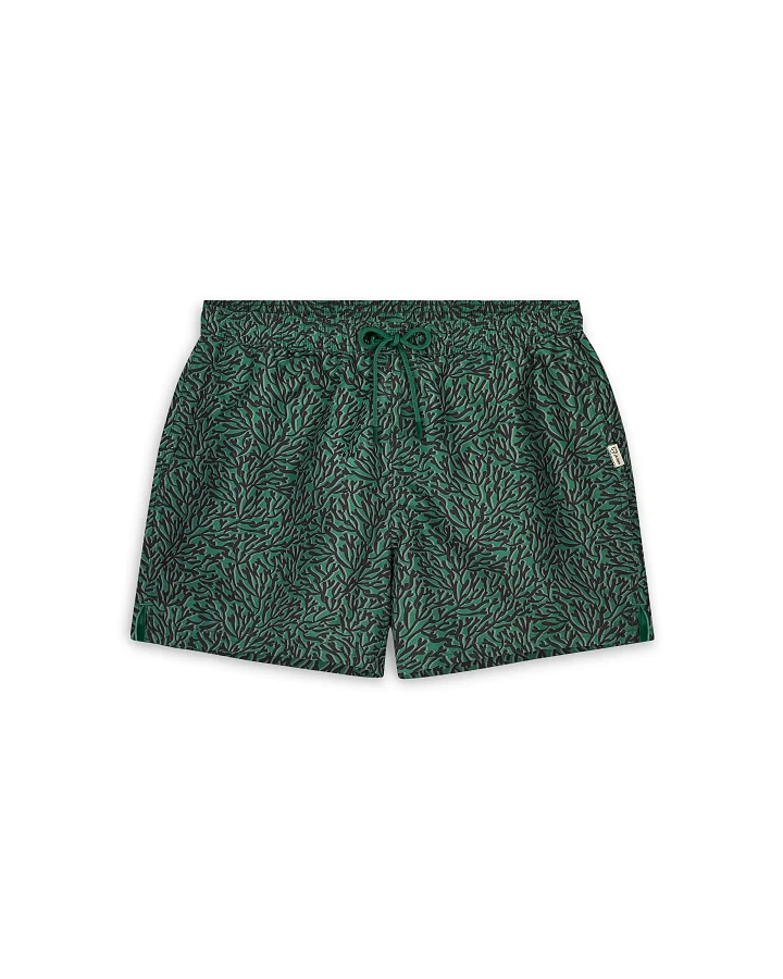Badeshorts Seaweed Grün
