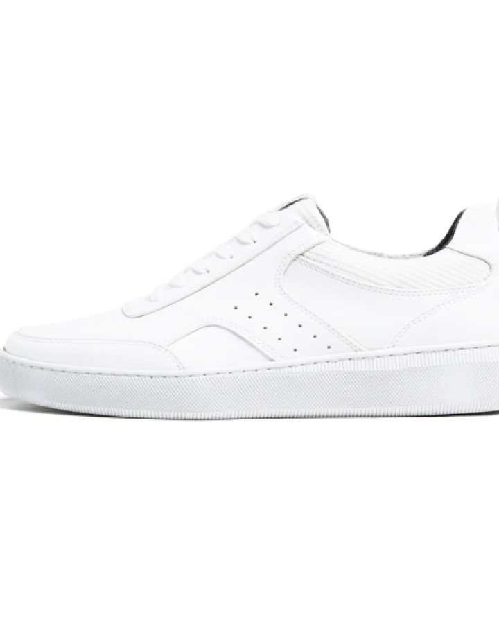 Will's Vegan Store Damen vegan München 2 Sneaker