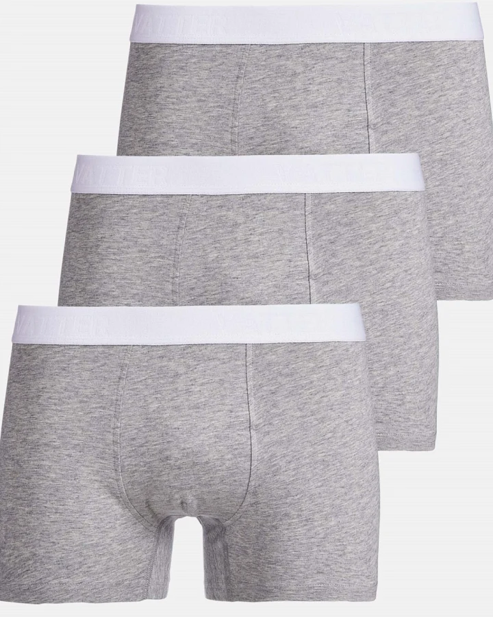 VATTER Herren vegan Trunk Short Tim Grau 3er-Pack