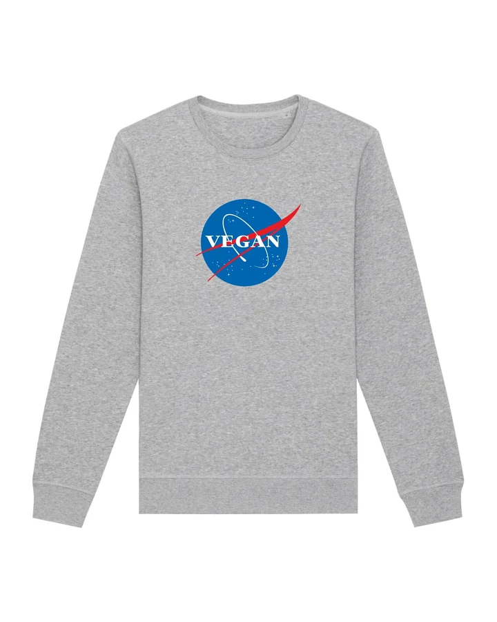 Oat Milk Club Damen vegan Sweatshirt Vegan Nasa Grau