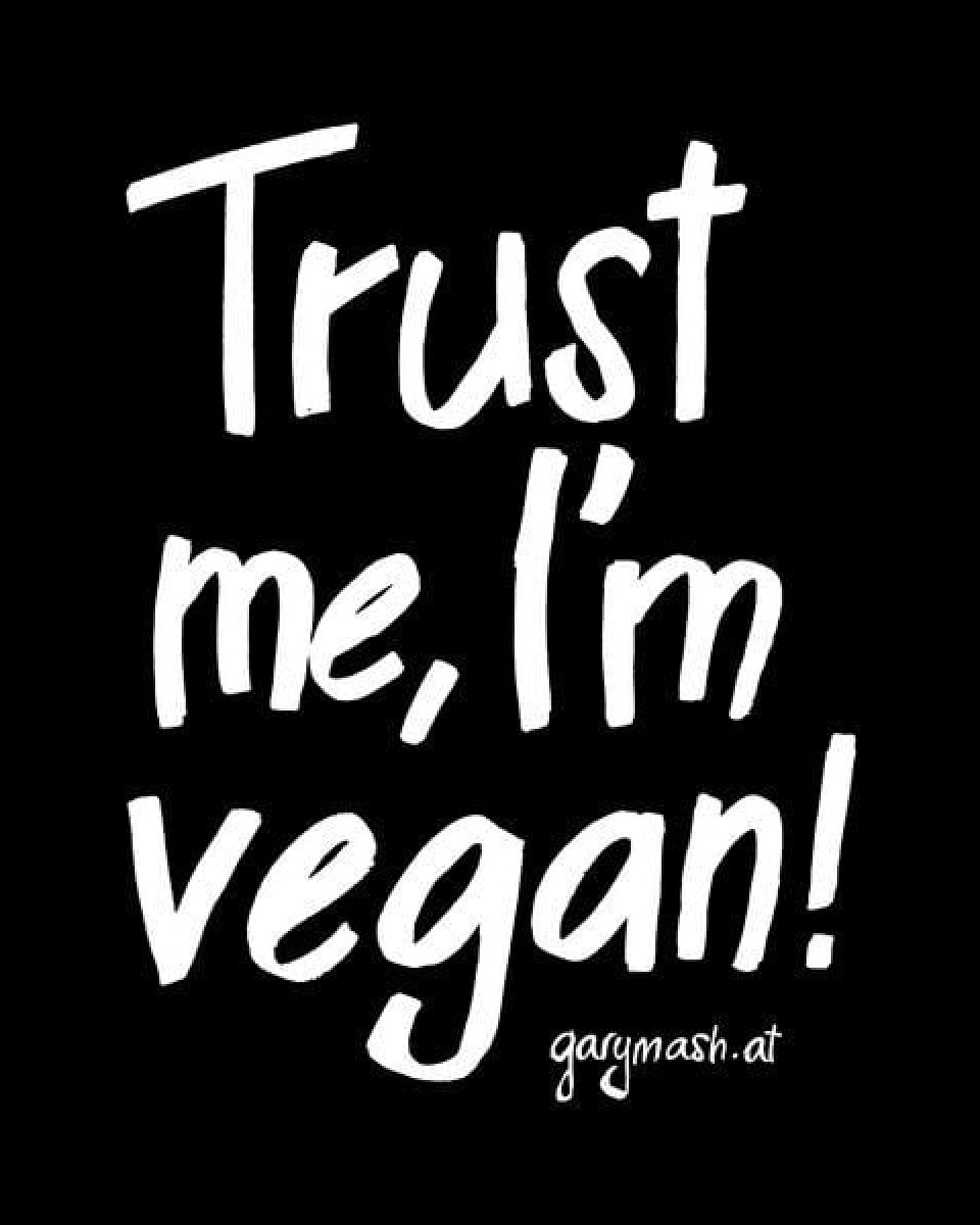 GARY MASH Shirt Asheville Trust me aus Biobaumwolle – Ansicht 2