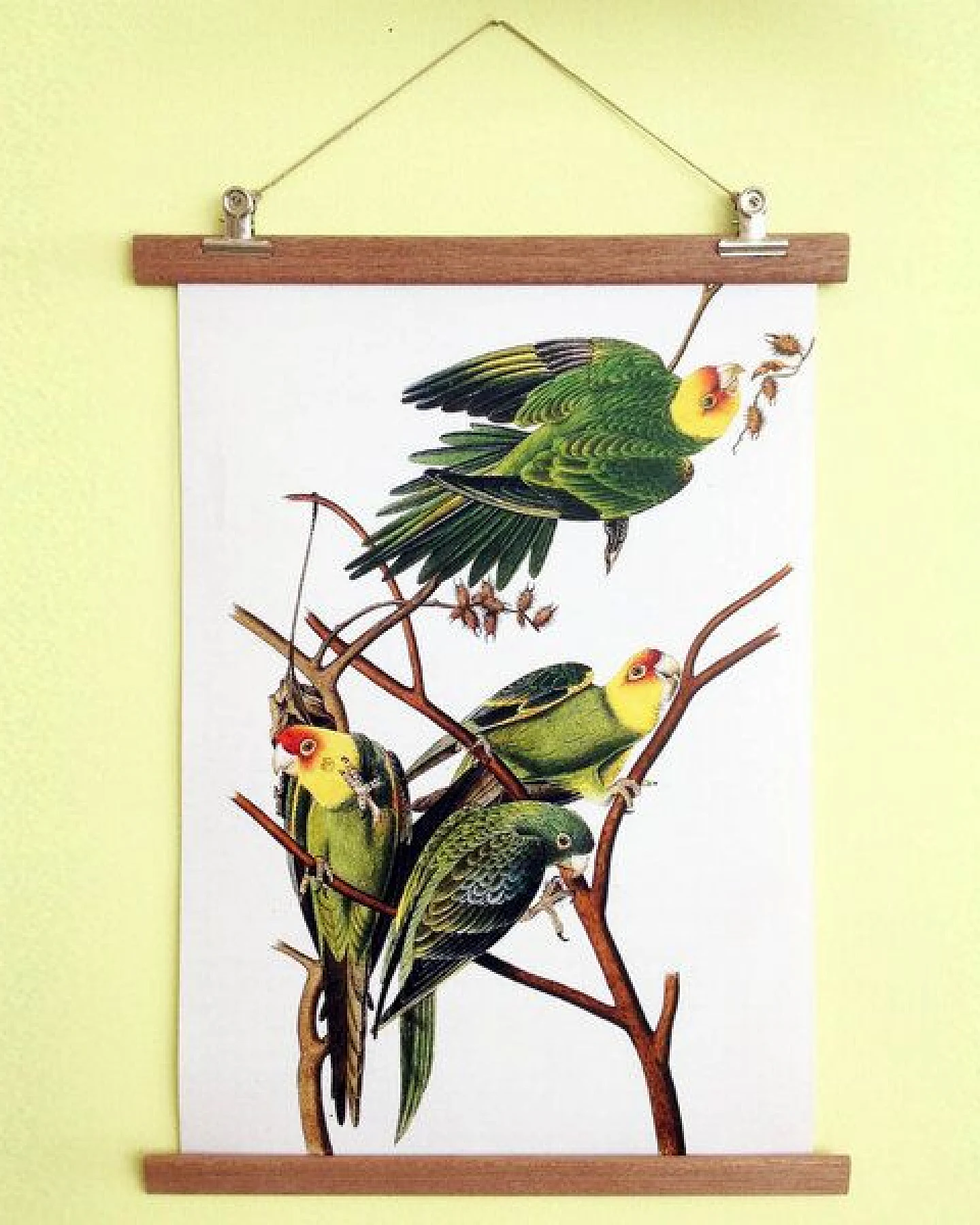 all the things we like Poster Birdies mit Aufhängung – Ansicht 2