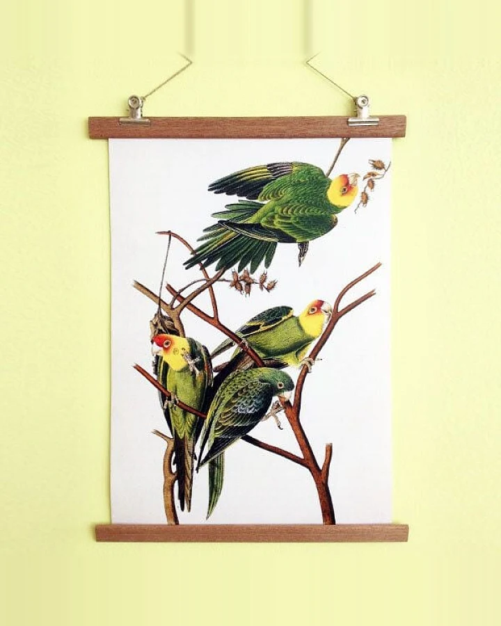 all the things we like Poster Birdies mit Aufhängung