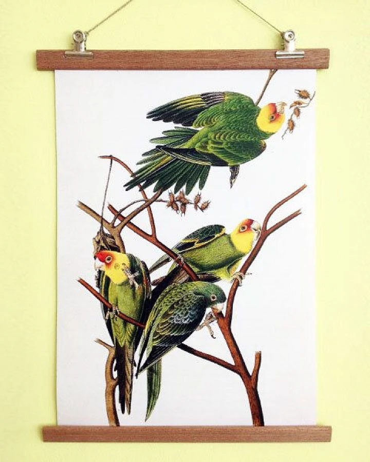 all the things we like Poster Birdies mit Aufhängung