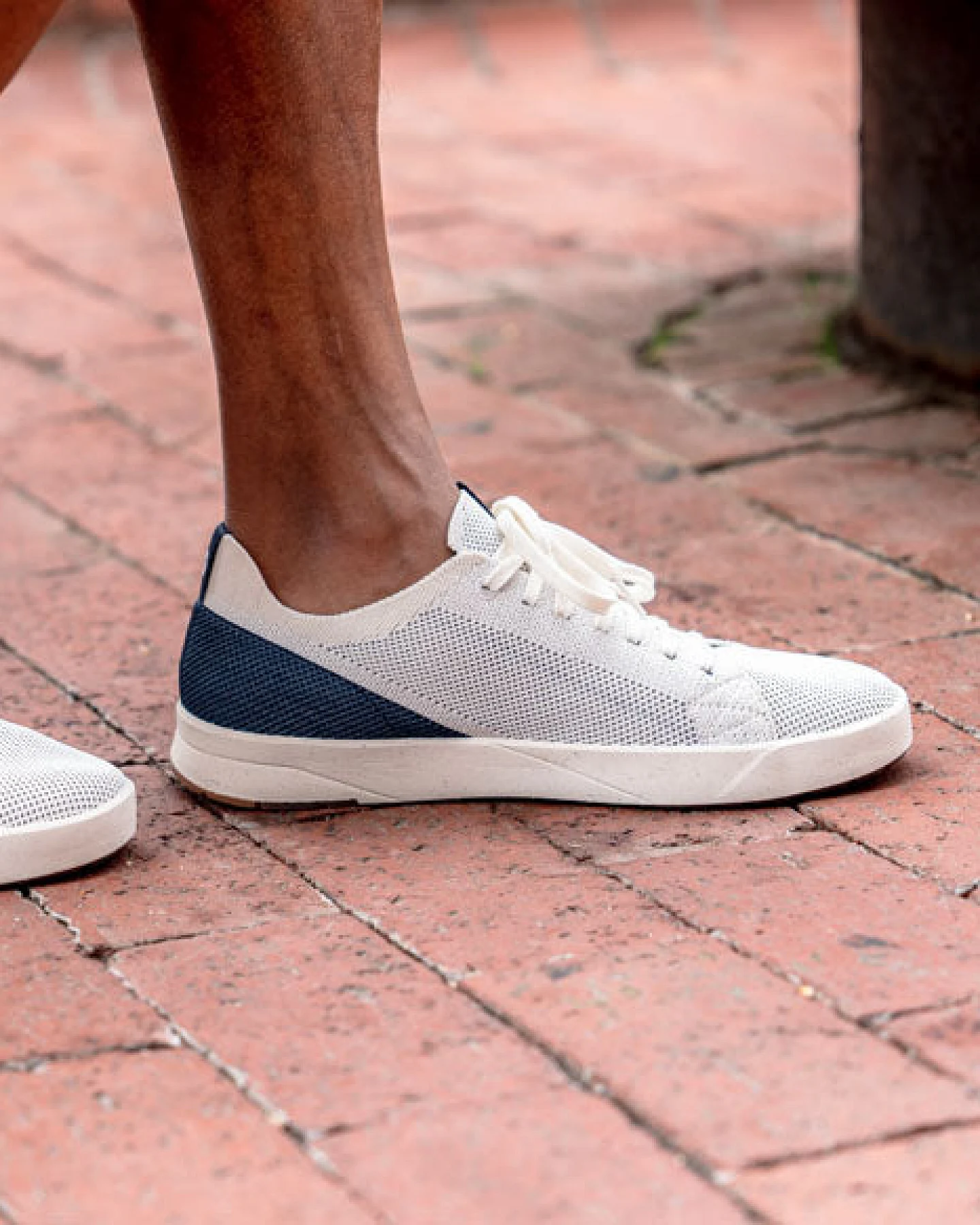 SAOLA Herren vegan Sneaker Herren Cannon Knit 2.0 Weiß / Navy – Ansicht 2