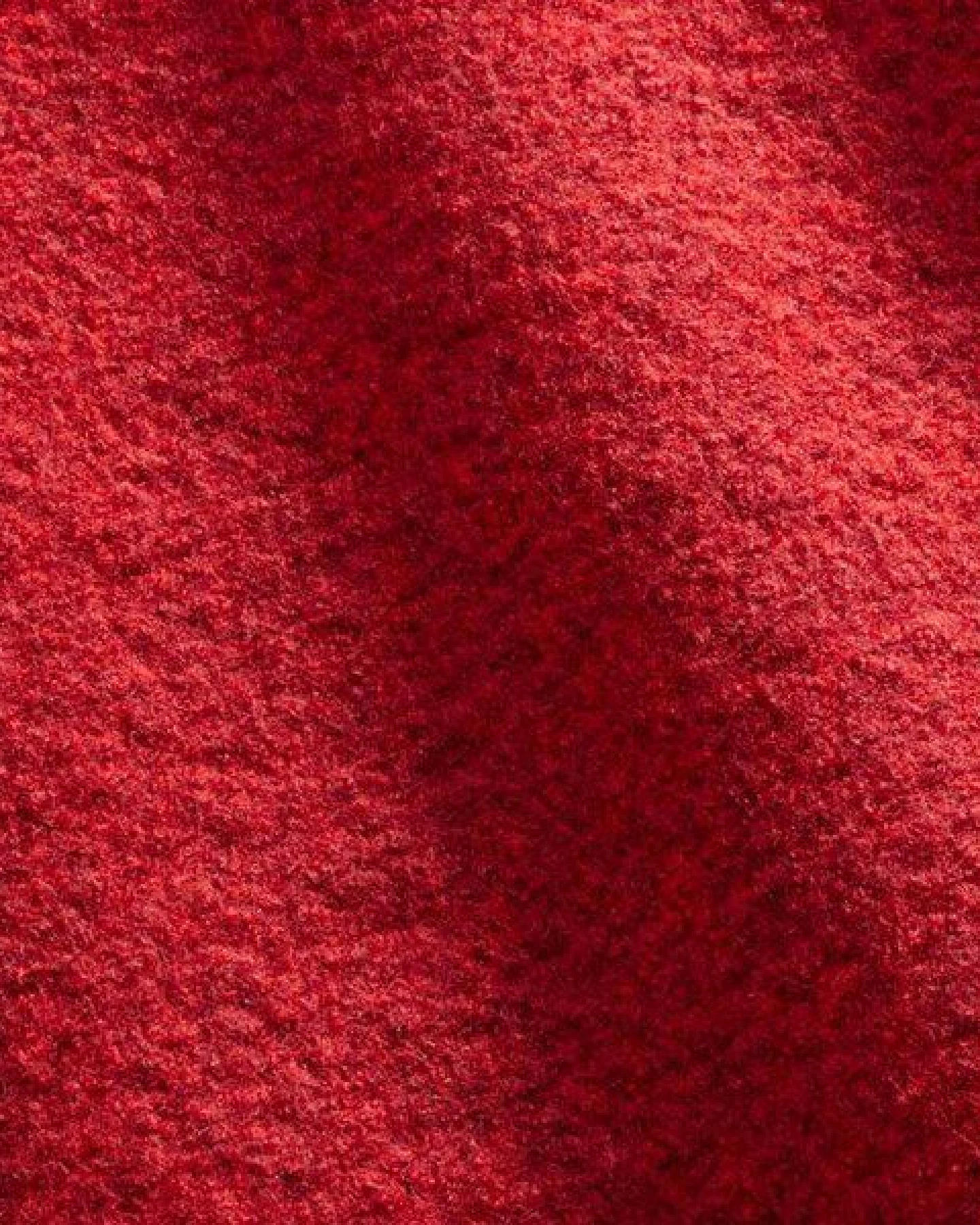 Mufflon JULA – Ansicht 2