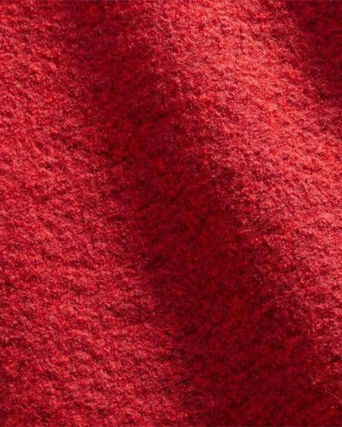 Mufflon JULA – Ansicht 2