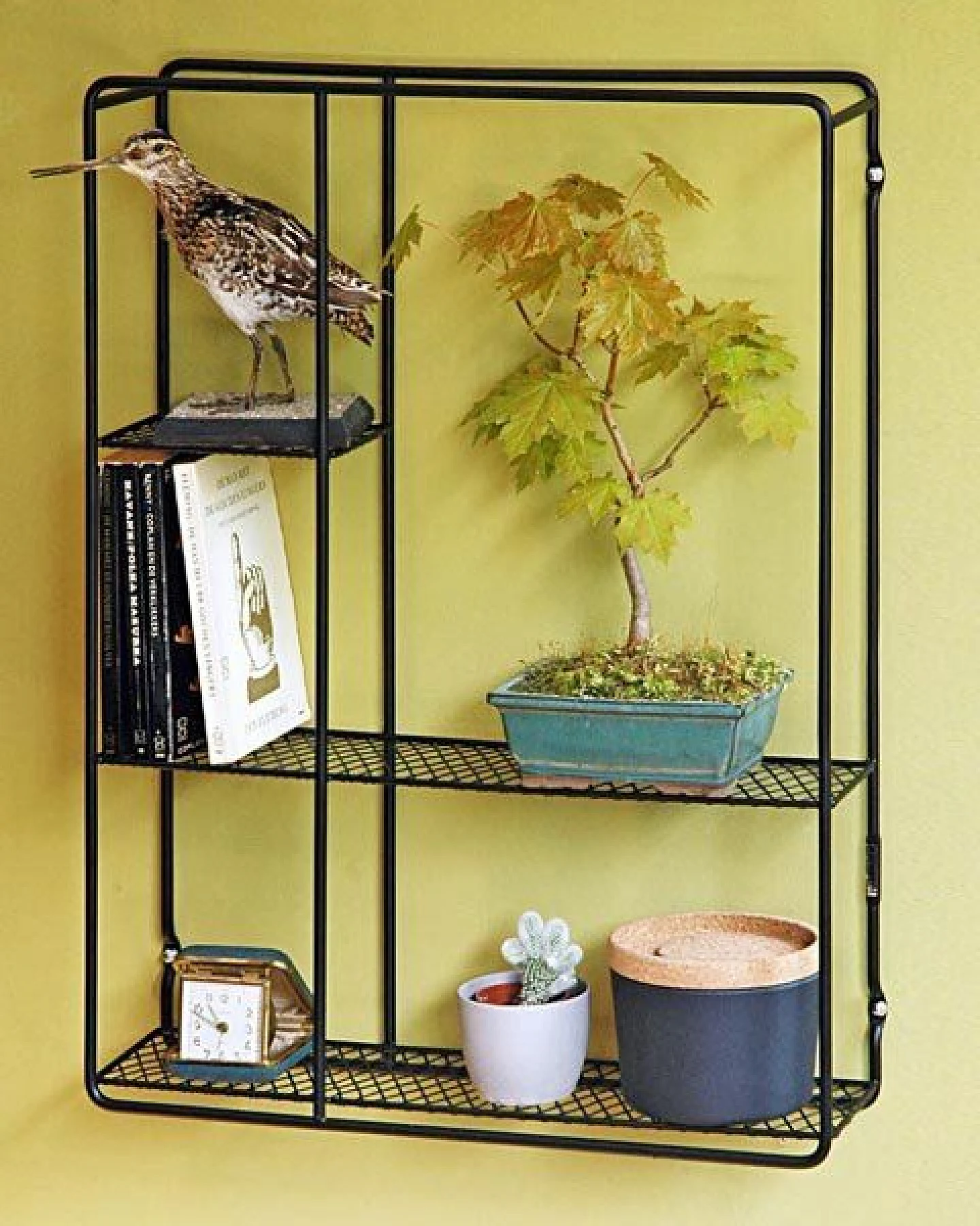 Puhlmann Regal Showcase schwarz – Ansicht 2