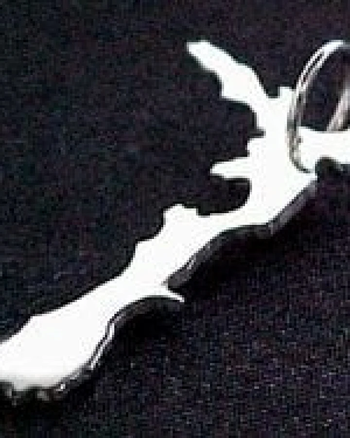 S.W.w. Schmuckwaren NEUSEELAND Kettenanhänger in 925 Silber