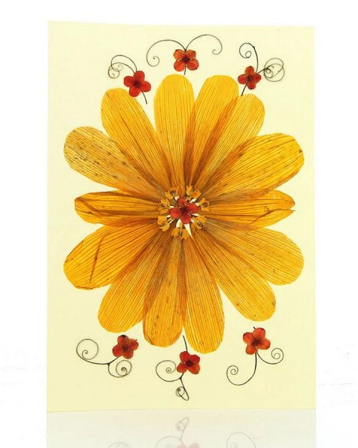 GLOBO Fair Trade Grußkarte Wildblumen MANDALA