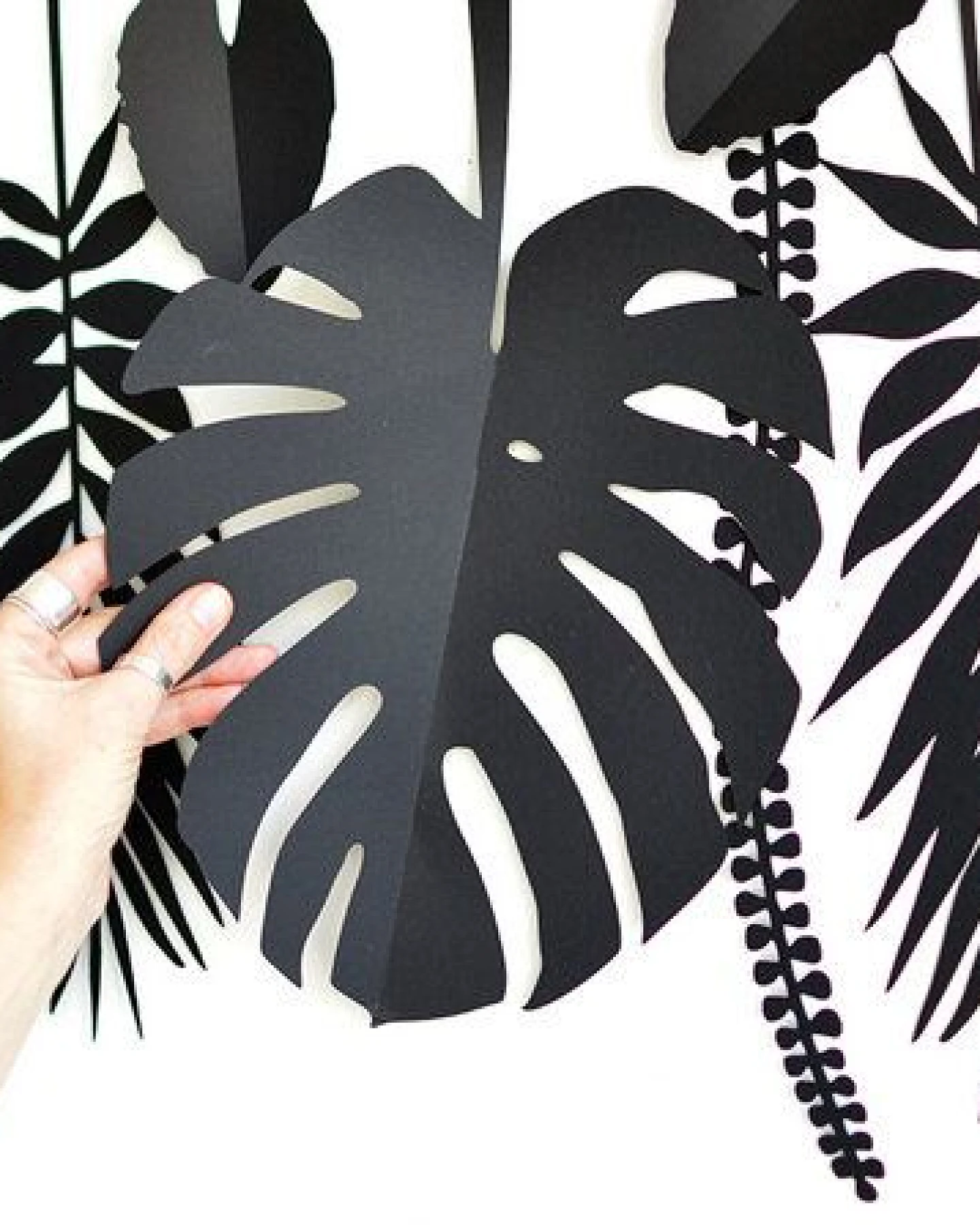 renna deluxe Tropen Monstera, Palme, Wanddekoration – Ansicht 4