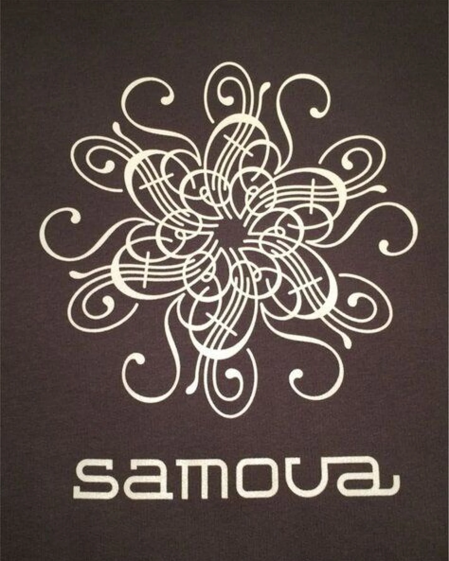 Samova Herren Hoodie aus Bio-Baumwolle „SHINE ON“ EDITION – Ansicht 2
