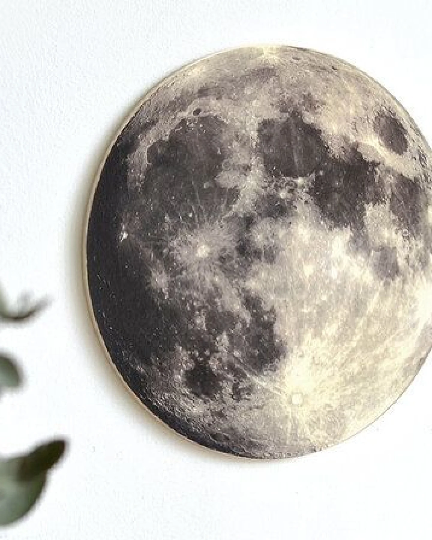 renna deluxe MOND – Ansicht 2