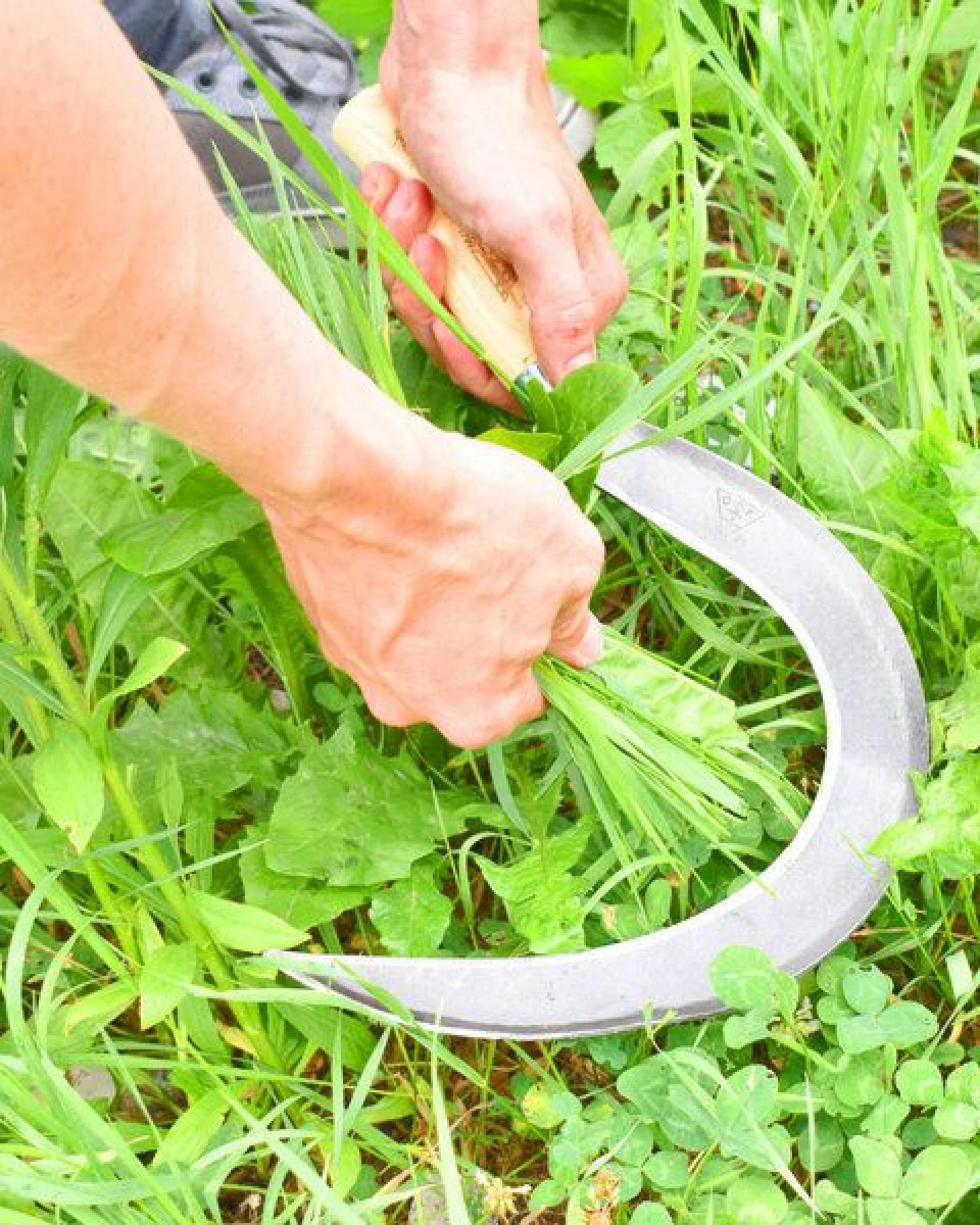 4betterdays Mondsichel für Linkshänder mit 14 cm Eschenstiel - Handgeschmiedet – Ansicht 2