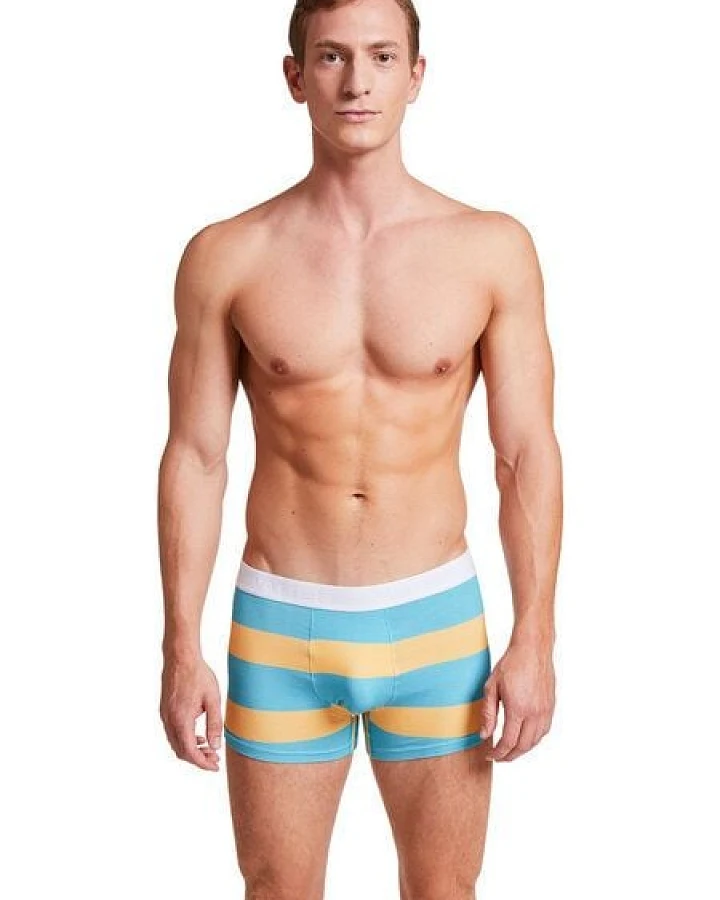 VATTER Trunk Short "Tight Tim"Block Stripes