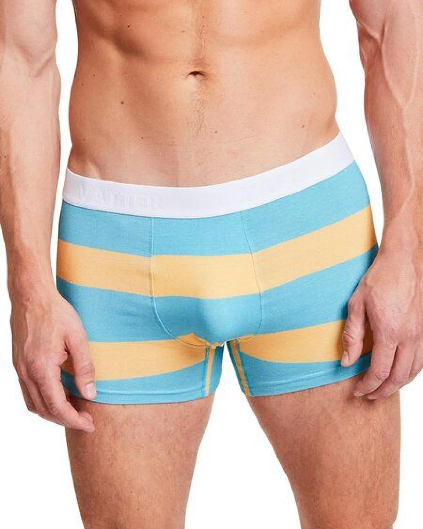 VATTER Trunk Short "Tight Tim"Block Stripes – Ansicht 2