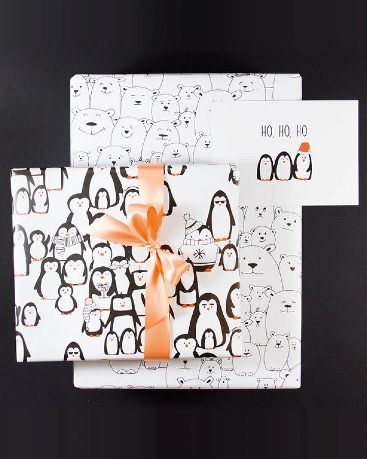 Bow & Hummingbird Geschenkverpackungs-Set "Frostige Freunde"