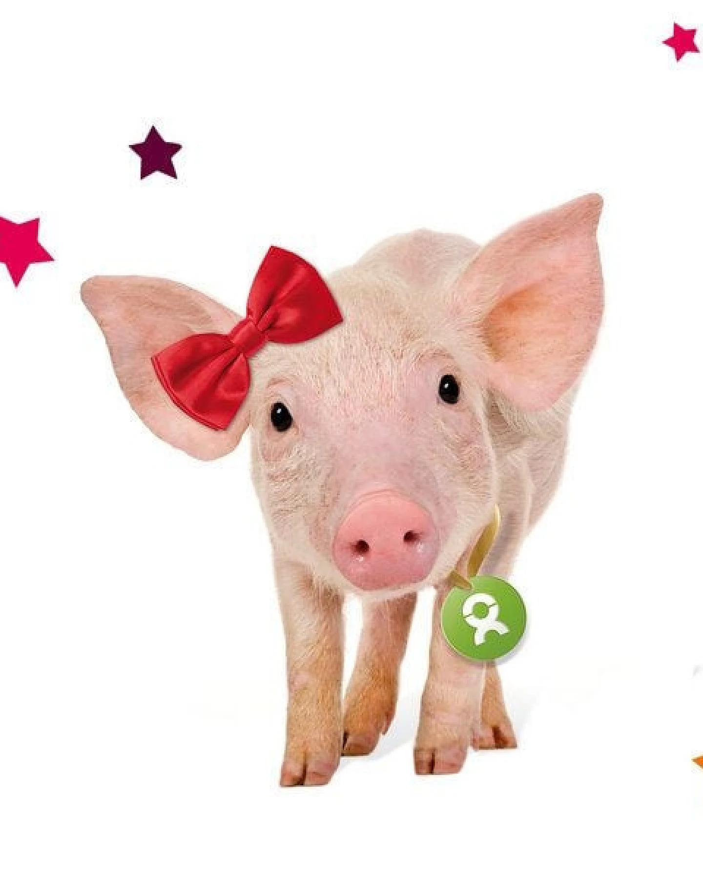 OxfamUnverpackt Spenden-Geschenk "Ferkel" (Weihnachtskarte mit Magnet) – Ansicht 3