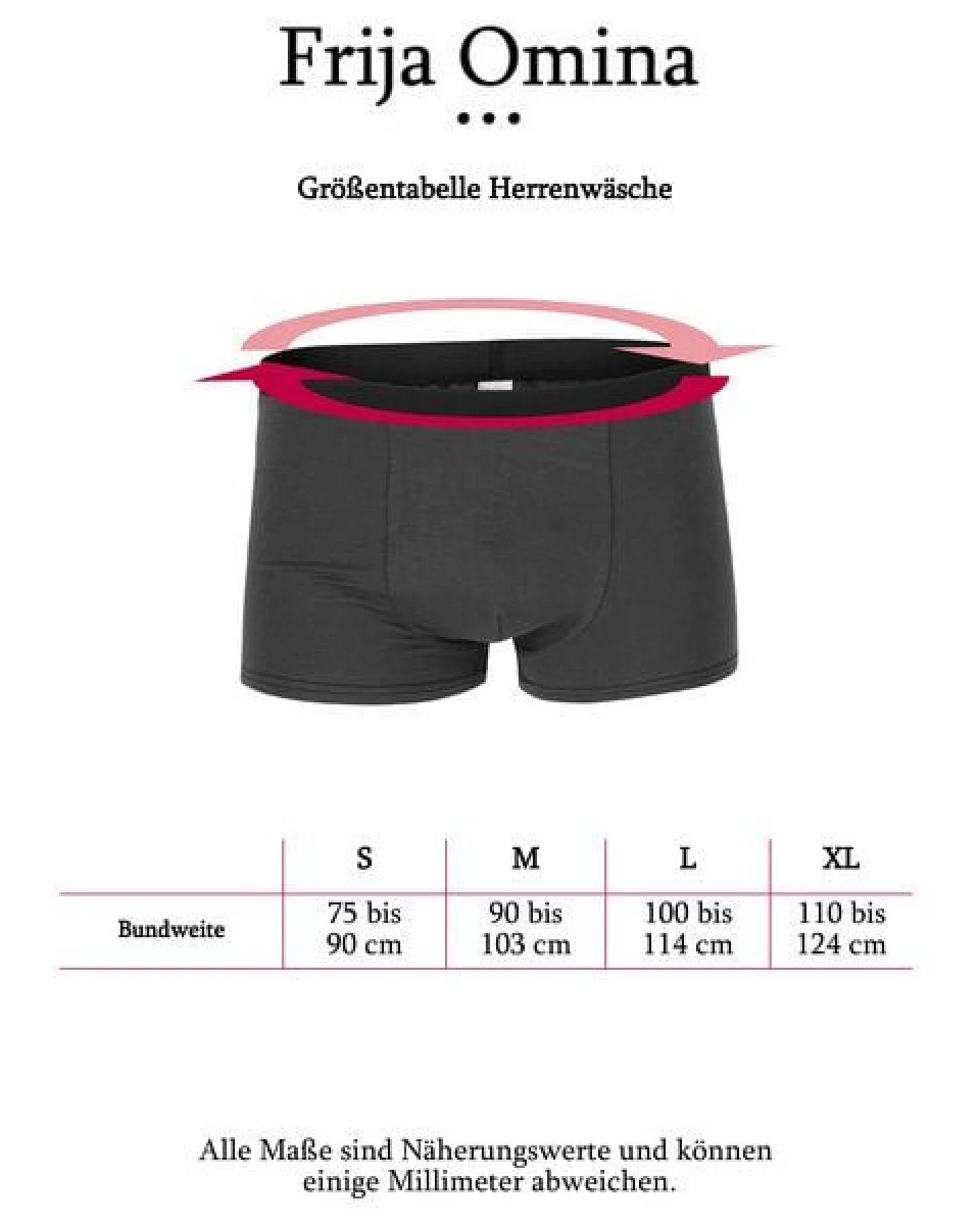 Frija Omina in 8 Farben: Trunk Shorts Boxershorts – Ansicht 2