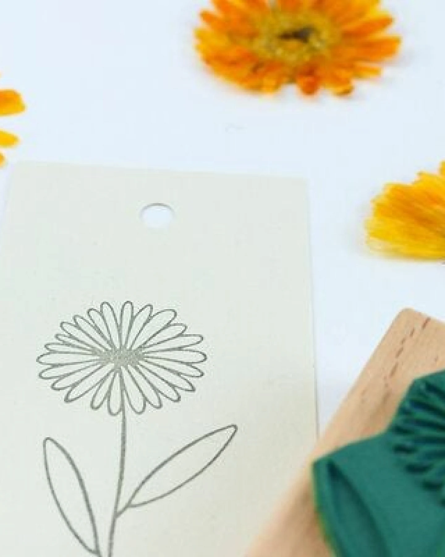STUDIO KARAMELO STEMPEL BLUMEN, verschiedene Motive – Ansicht 3