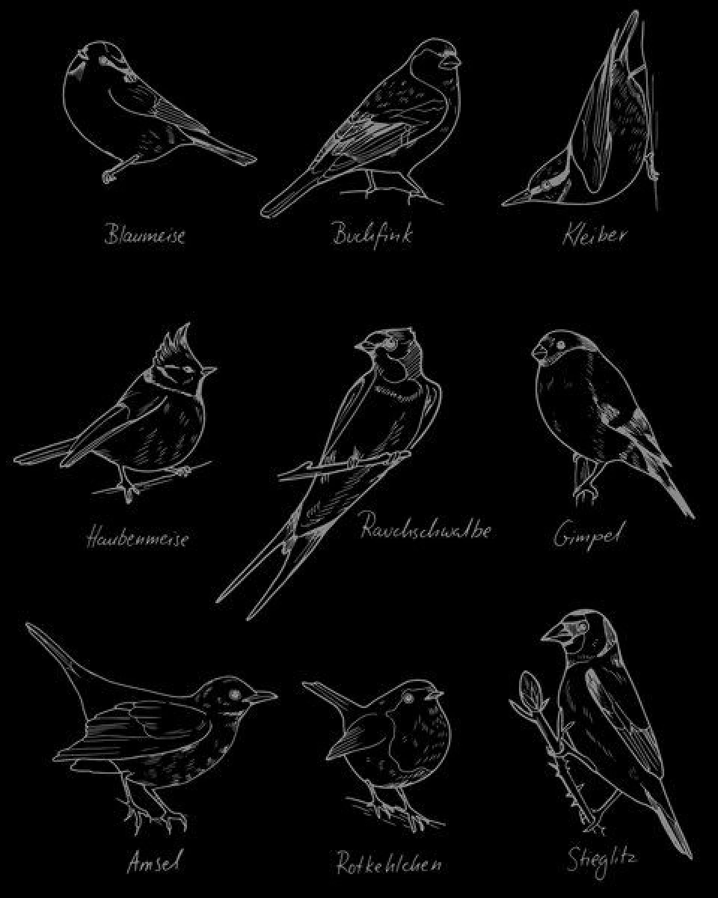 GARY MASH Shirt Birds aus Biobaumwolle – Ansicht 3