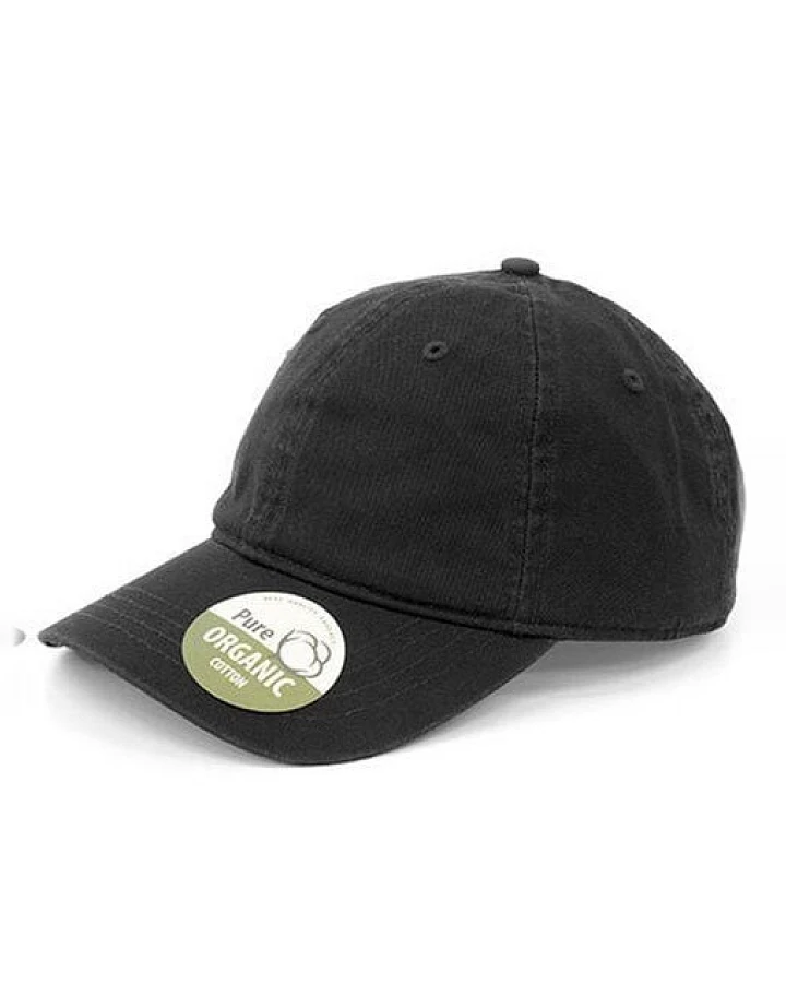 Basecap Organic Cotton Brain Waves 6 - Panel Cap Kappe