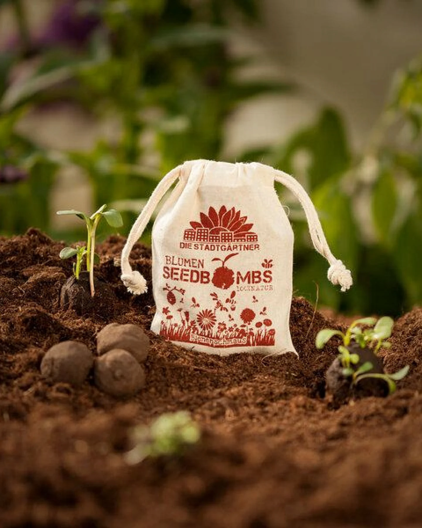 Die Stadtgärtner 8 Seedbombs "Bienenschmaus" im Mini-Jutebeutel – Ansicht 2